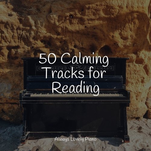 50 Tracks for Chilling Out and Studying_poster_image