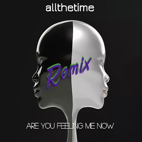 Are You Feeling Me Now (Remix)