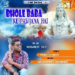 Bhole Baba Ke Pas Jana Hai