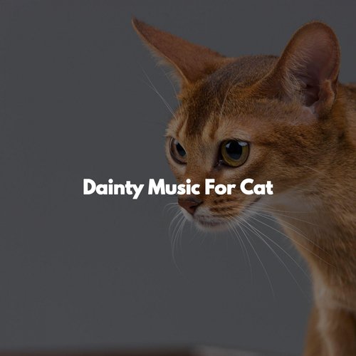Dainty Music For Cat