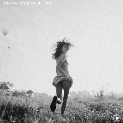 Dancing in the Moonlight