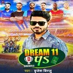 Dream 11 Pa