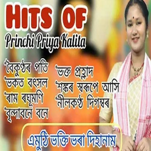 Hits Of Princhipriya