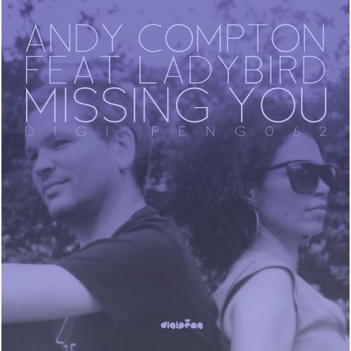 Missing You (Dino & Terry Instrumental Remix) [feat. Ladybird]