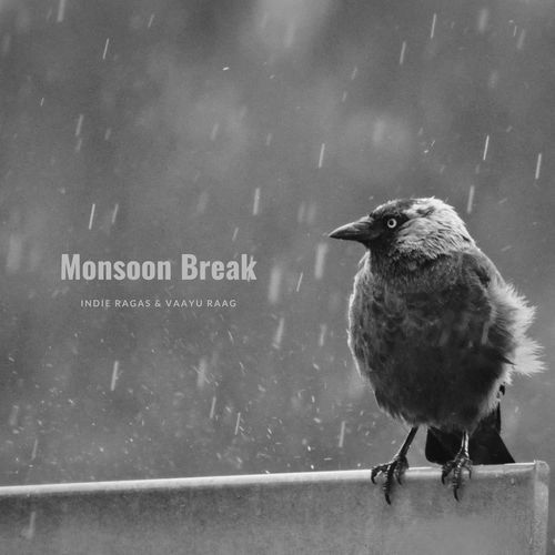 Monsoon Break