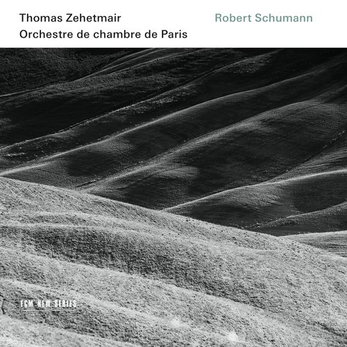 Schumann: Violin Concerto In D Minor, WoO 23: 1. In kräftigem, nicht zu schnellem Tempo (Live At Théâtre des Champs-Elyseés, Paris / 2014)