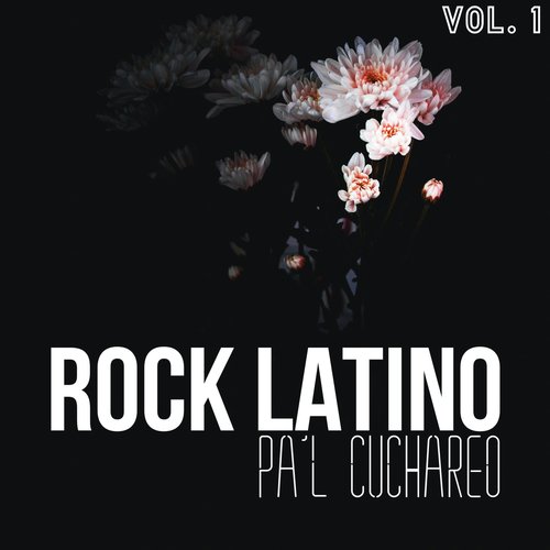 Ropa De Bazar Lyrics - Rock Latino Pa'l Cuchareo Vol. 1 - Only on JioSaavn