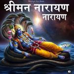 Shreeman Narayan Narayan