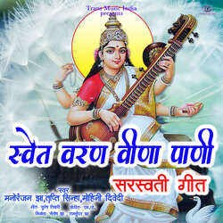 Shwet Varan Veena Panee-XSYdCS1cWF0