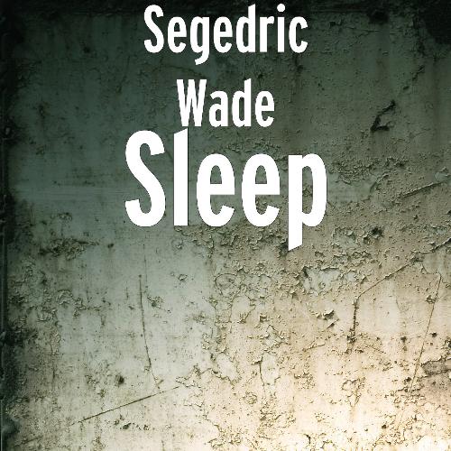 Sleep_poster_image