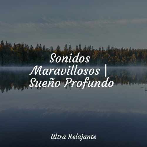 Sonidos Maravillosos | Sueño Profundo