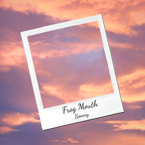 Sonny cover art