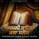 Sukhmani Sahib Katha Salok - Ashatpati - 17
