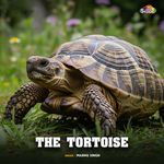 The Tortoise