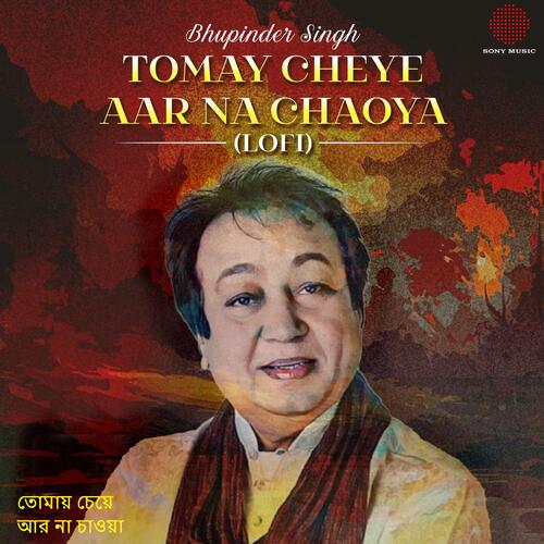 Tomay Cheye Aar Na Chaoya (Lofi Flip)