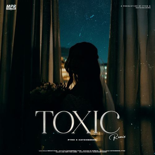 Toxic (Remix)
