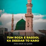 Tum Roza e Rasool Ka Deedar To Karo