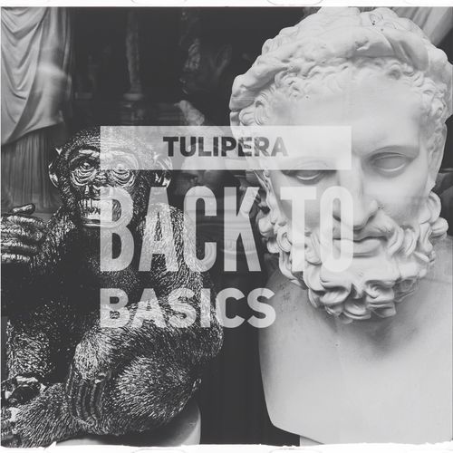 back to basics cover art