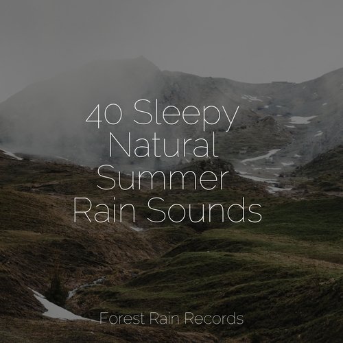 Rain, Storm and Thunder cover art