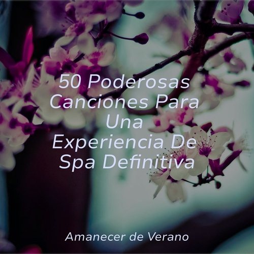 50 Poderosas Canciones Para Una Experiencia De Spa Definitiva