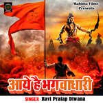 Aaye Hai Bhagwadhari