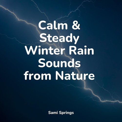 Rain, Storm and Thunder cover art