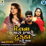 Dil Na Mara Hajaro Tukda Kari Gaya