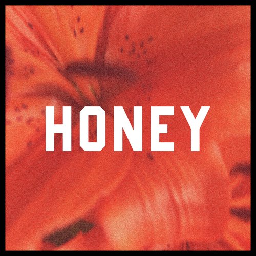 Honey_poster_image