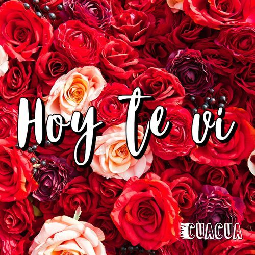 Hoy te vi cover art