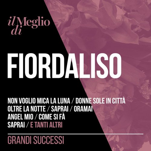 Il Meglio Di Fiordaliso: Grandi Successi