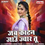 Jab Katan Jaun Jwar Tu