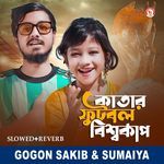 Katar Football Bishyocup (Slowed+Reverb)