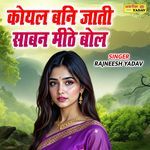 Koyal Bani Jaati Savan Meethe Bol