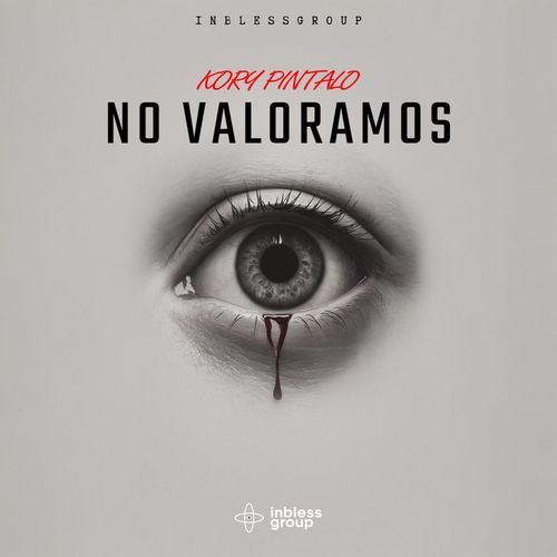NO VALORAMOS cover art