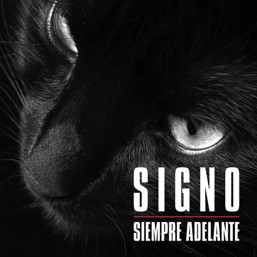 Siempre Adelante_poster_image