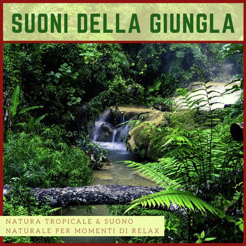 Suoni della Giungla - Natura Tropicale & Suono Naturale per Momenti di Relax_poster_image