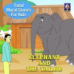 Elephant And The Tailor