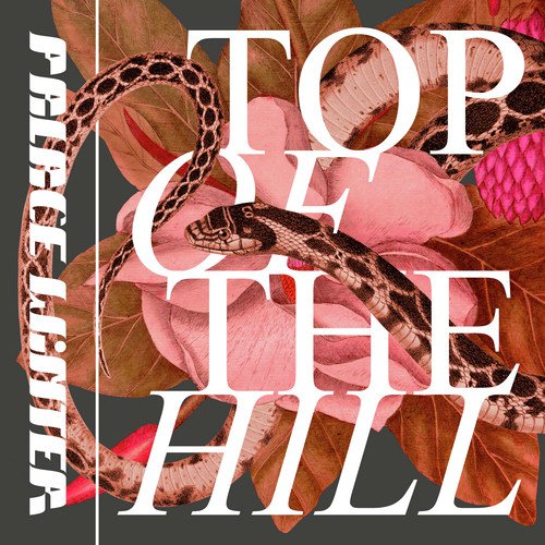 Top of the Hill_poster_image