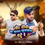 Tor Didi Ke Bhatar Paswan Hate Re