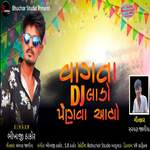 Vagata Dj Lado Parvane Ayo