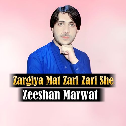 Zargiya Mat Zari Zari She