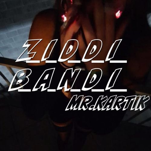 Ziddi Bandi