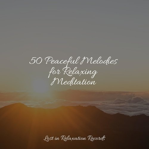 50 Peaceful Melodies for Relaxing Meditation