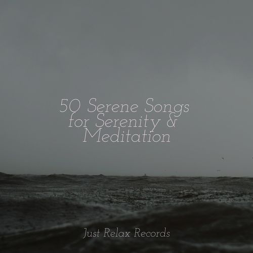 50 Serene Songs for Serenity & Meditation