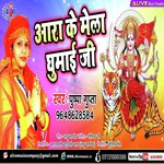 Aara Ke Mela Ghumayi Ji