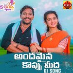 Andamaina Koppu Meeda (DJ Song)