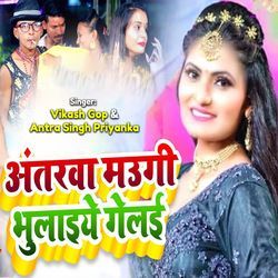 Antarwa Maugi Bhulaiye Gelai