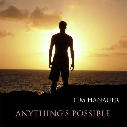 Anything's Possible cover art