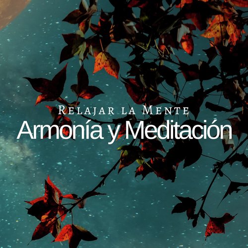 Música Serenidad cover art