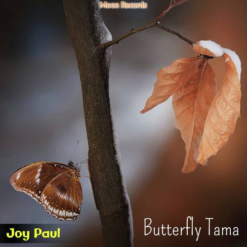 Butterfly Tama